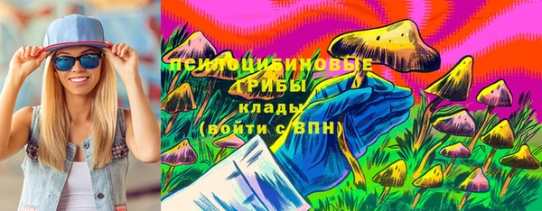 шишки Богородицк