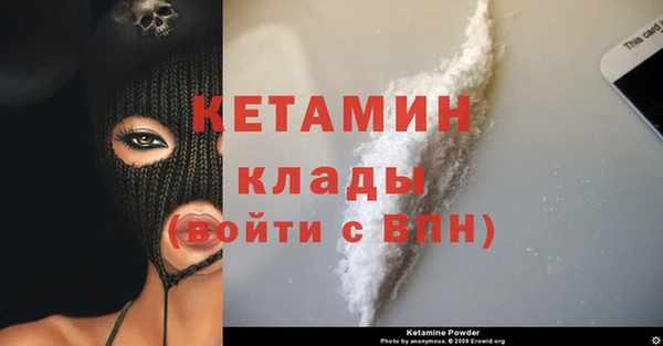 шишки Богородицк