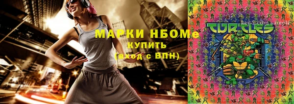 шишки Богородицк