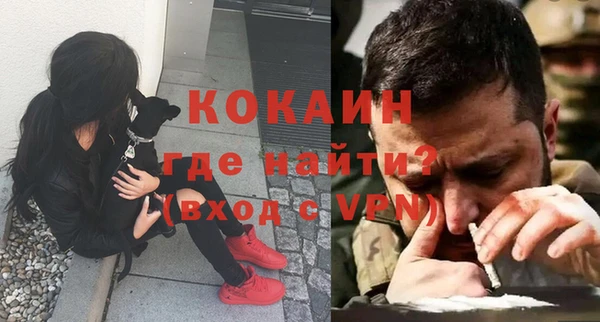 шишки Богородицк