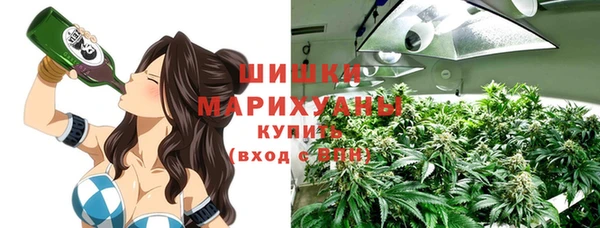 шишки Богородицк