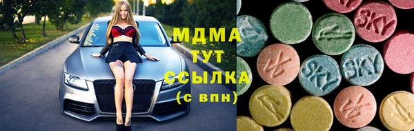 шишки Богородицк