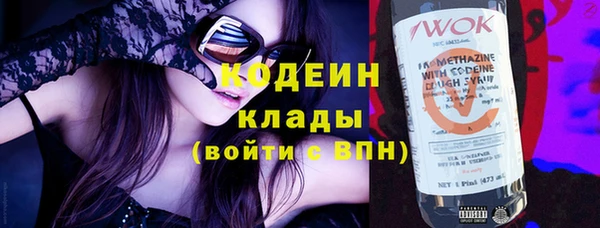 шишки Богородицк