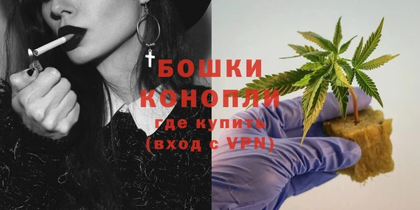 шишки Богородицк