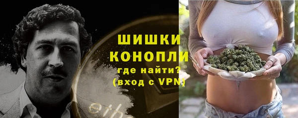 шишки Богородицк
