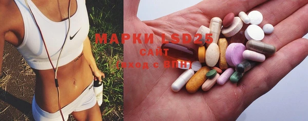 шишки Богородицк