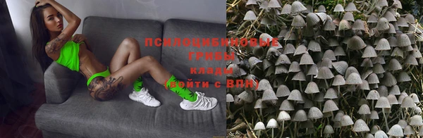 ешки Снежногорск