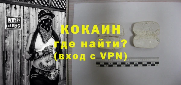 шишки Богородицк